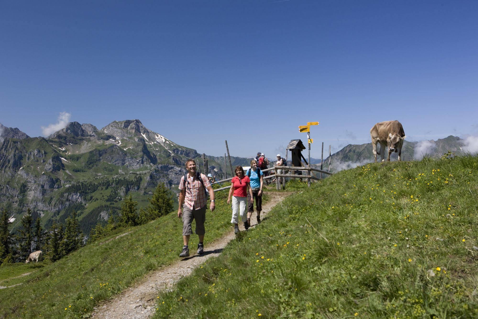 Berglodge Restaurant Ristis Engelberg Buitenkant foto